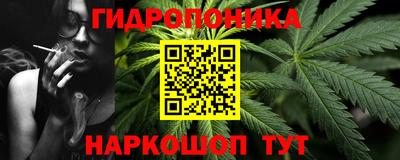 тгк Шебекино