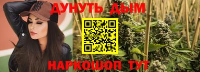 тгк Шебекино