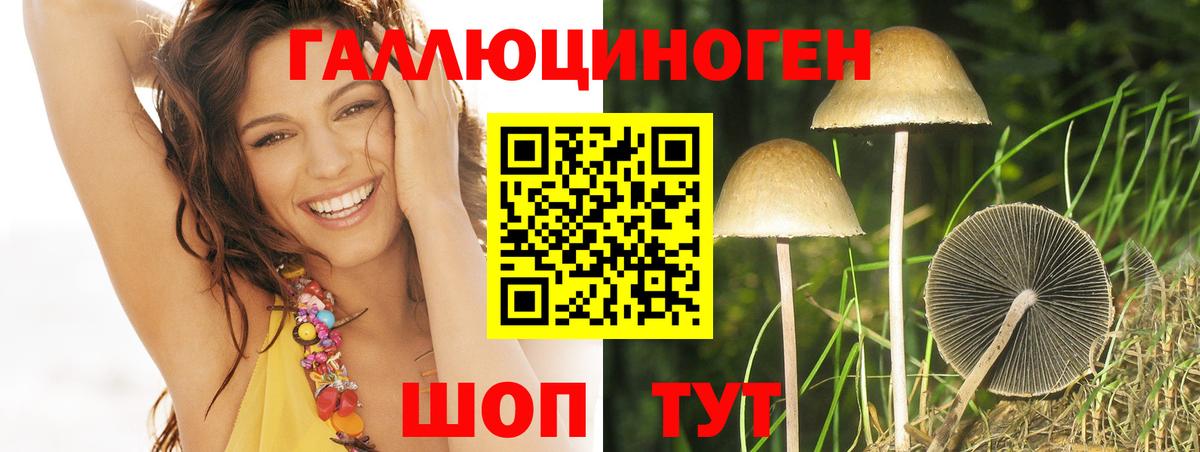 Аша  Псилоцибиновые грибы Psilocybine cubensis  Вход с VPN  Псилоцибиновые грибы Cubensis 
